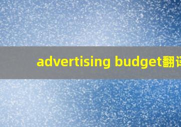 advertising budget翻译